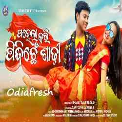 Pahela Kari Pindhiche Sadhi